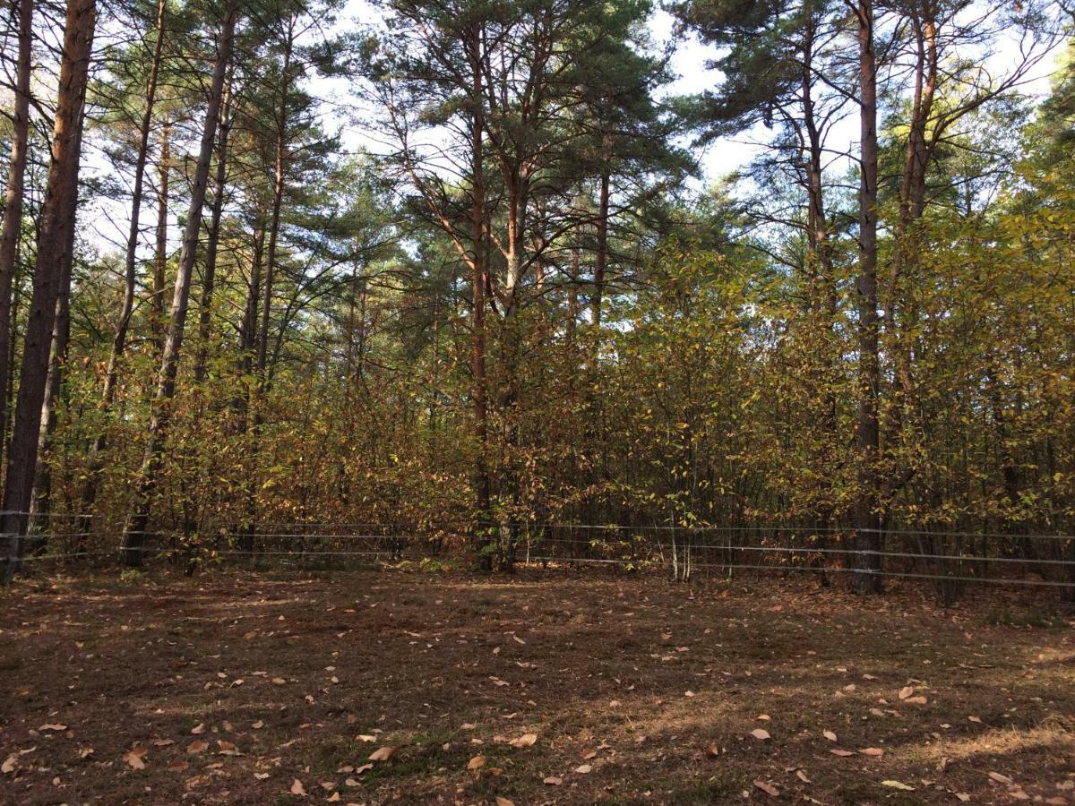 Chambre A La Campagne Chaumont-sur-Tharonne Exterior foto